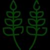 Planting andcaring for trees